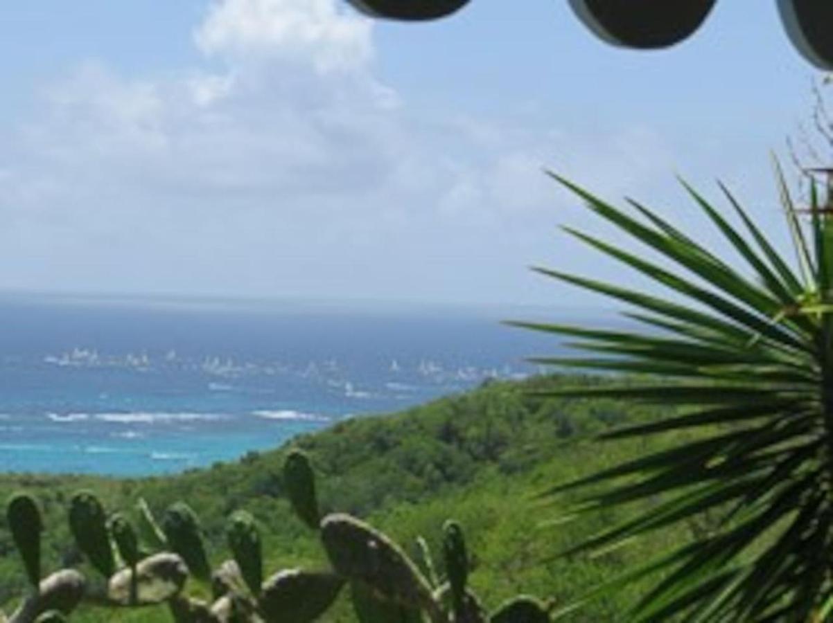Villa Du Cap Beauchene Le Marin Екстер'єр фото